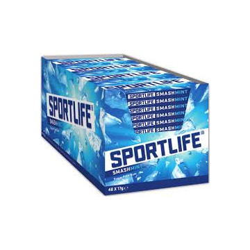 Sportlife Blauw 48 st