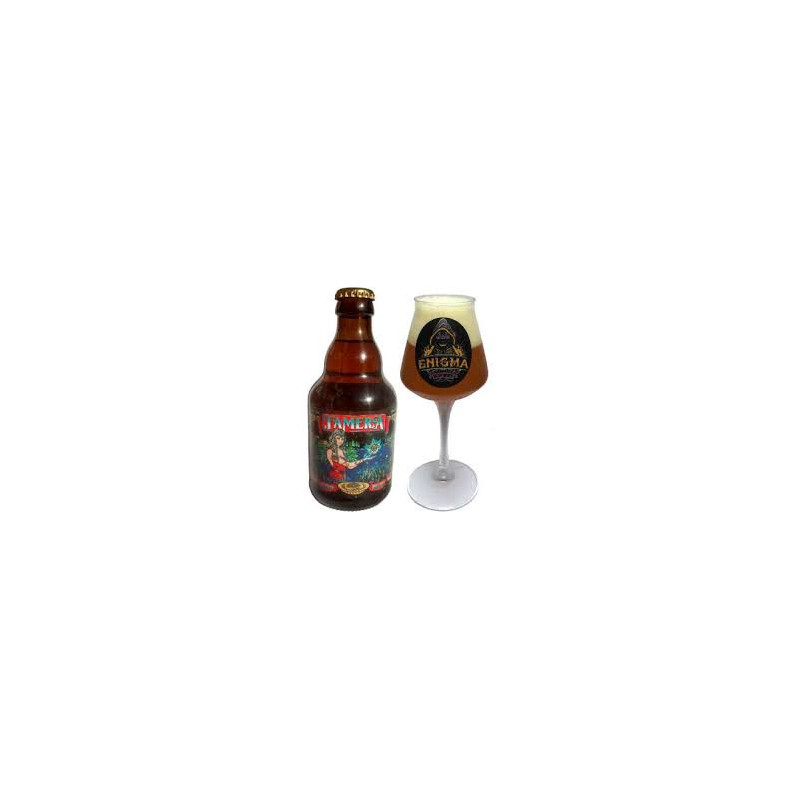 Hoofdstraat Fruit groente priester Tamera Bier 33 cl